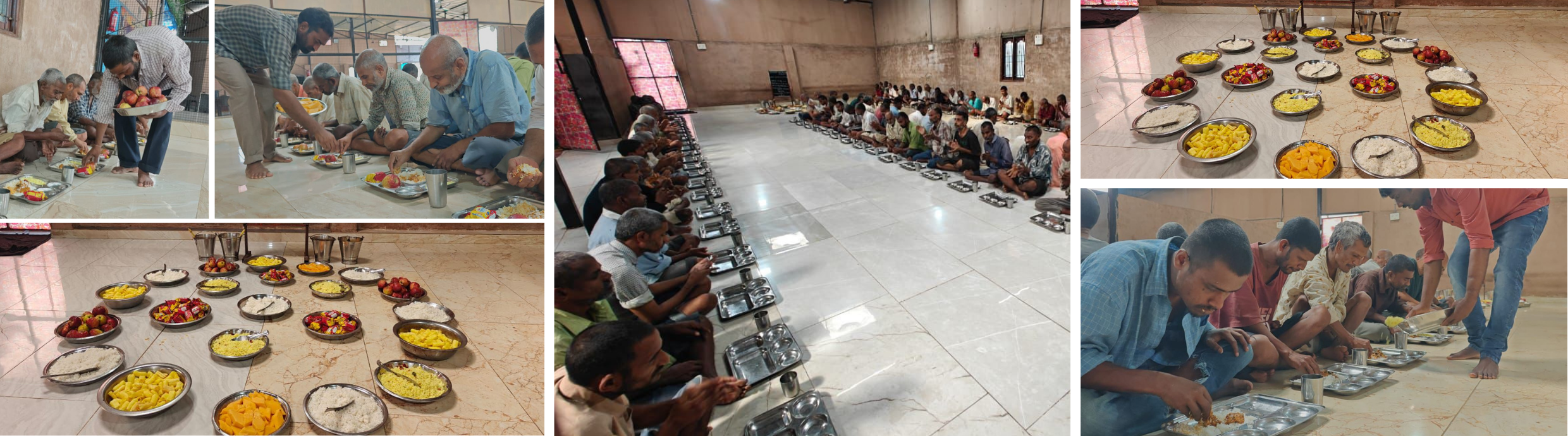 Celebrating a Special Occasion with a Special Contribution